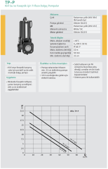 Wilo TP-P 20 T Foseptik Pompası 2 HP - DN65 - 380V