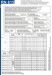 İmpo RN 615/14 6'' Tek Dalgıç Pompa (144 mss/ 10 HP) - 14 Kademe
