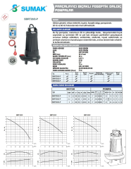 Sumak SBRT 50/3-P Özel Parçalayıcılı Dalgıç 5,5 HP - 3'' Çıkışlı