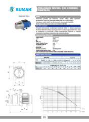 Sumak SMINOX/150-4T Yatay Kademeli Paslanmaz Pompa 1.5 HP 380V