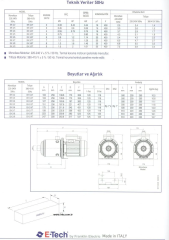 Etech EH 5/8 2,2 Hp M Yatay Çok Kademeli Pompa