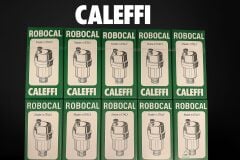 Caleffi Robocal Otomatik Hava Purjörü - 1/2'' - 115 °C -10 Adet